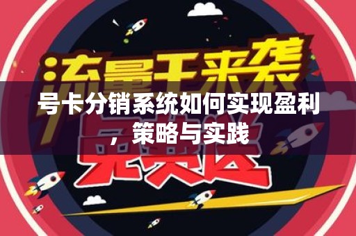 号卡分销系统如何实现盈利，策略与实践